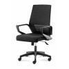 Кресло Ergo Black LB B909-FX363-1