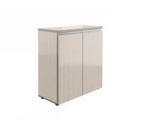 Шкаф широкий низкий закрытый V-2.0+4.0