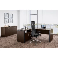 Кабинет Exe Профофис