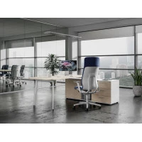 Мебель для руководителя Flex