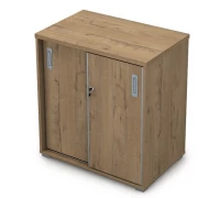 Шкаф-купе 9ШКЗ.001