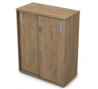 Шкаф-купе 9ШКЗ.013