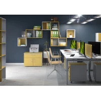 Мебель Сентида Колор