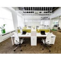 Серия Тур Вуд