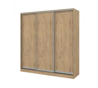 Шкаф-купе 3-дверный ШКДДД.18-24.10